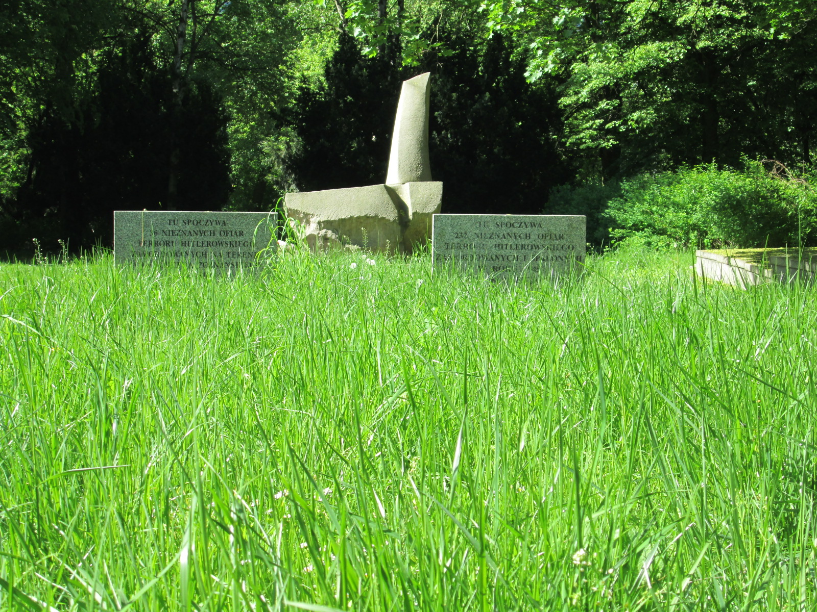 Aleksandra Pietrowicz