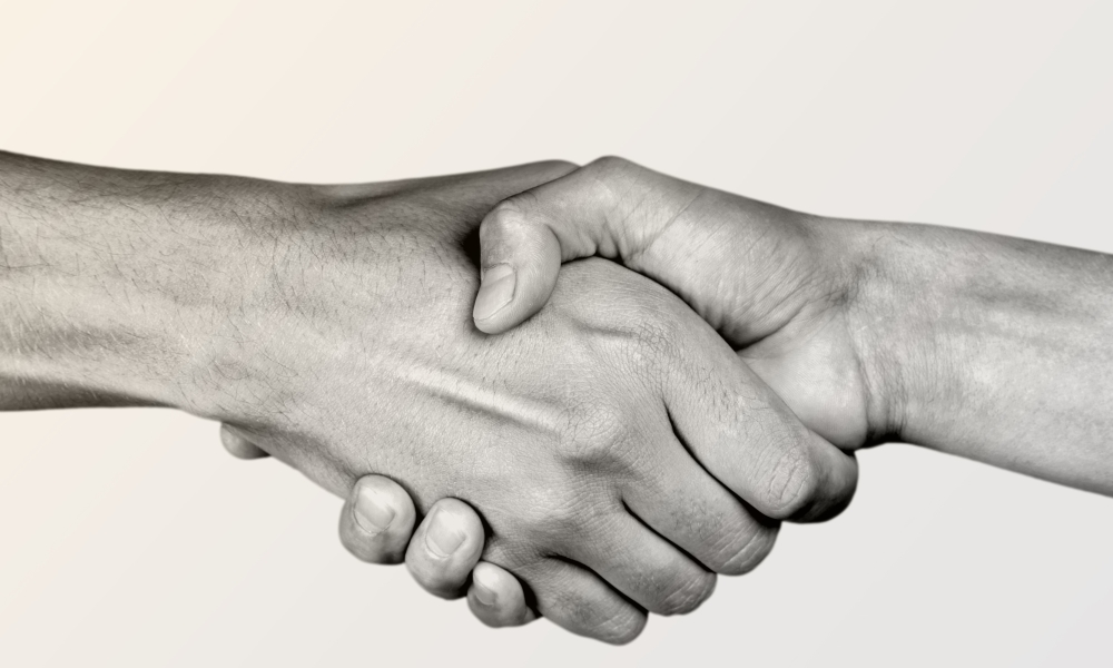 hh - (www.polnocna.tv)