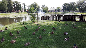 parkmiejski - www.google.pl/maps