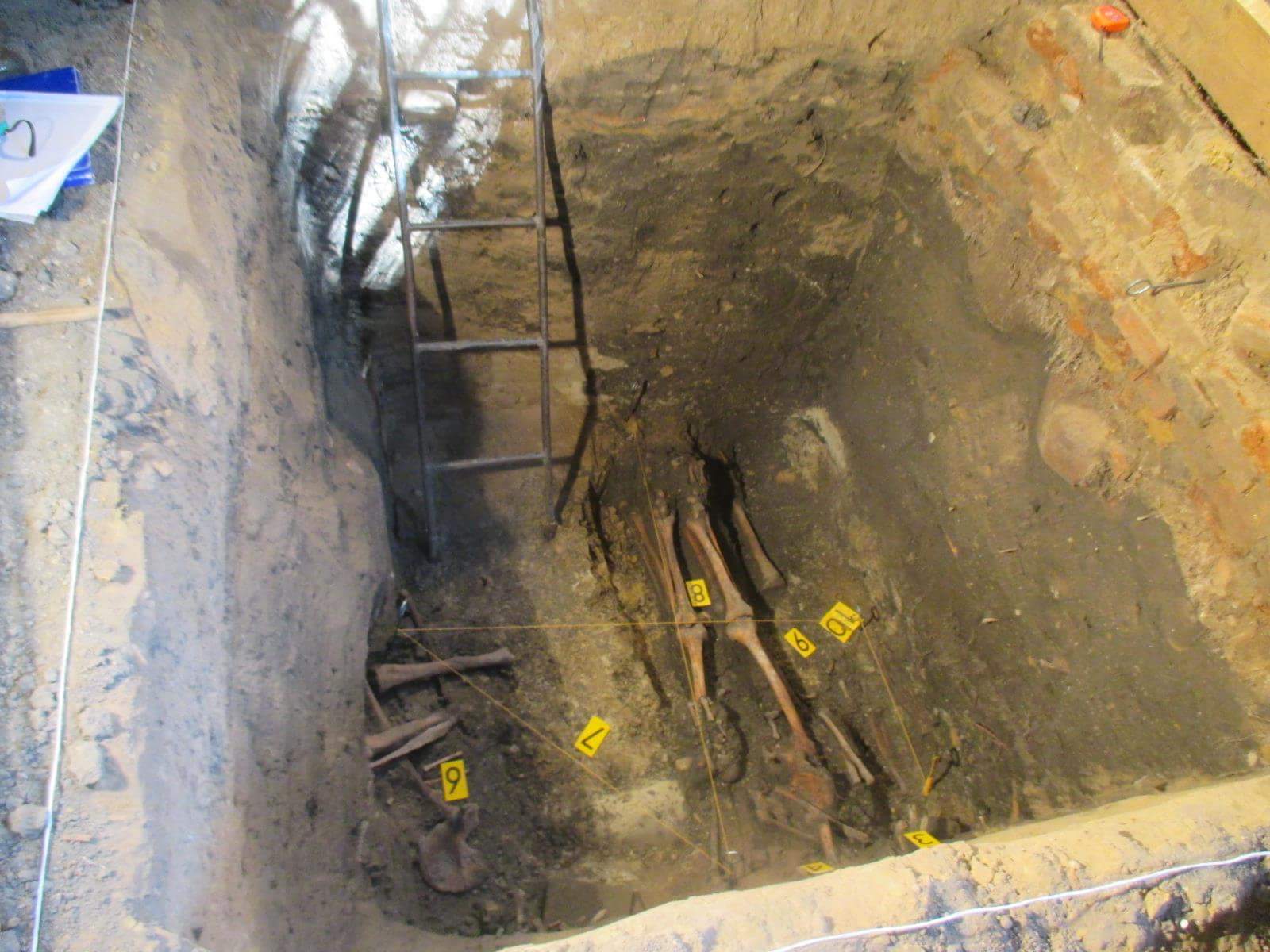 Cmentarz zawodzie Kalisz archeolodzy - Danuta Synkiewicz