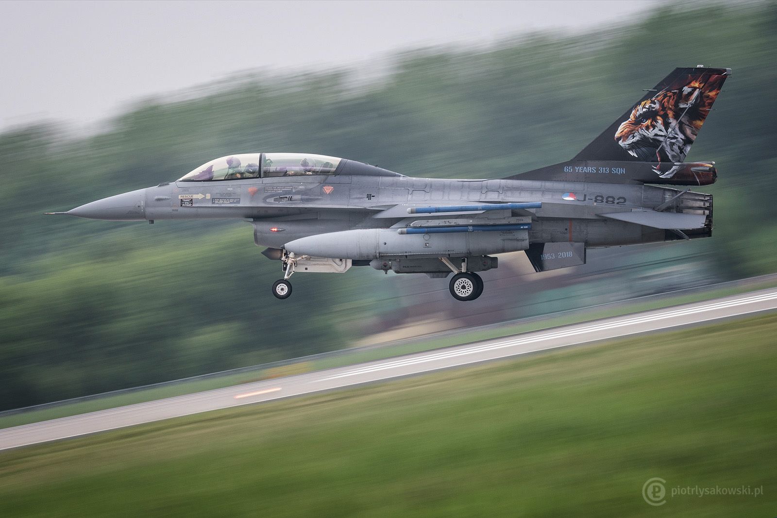 NATO tiger meet - Piotr Łysakowski