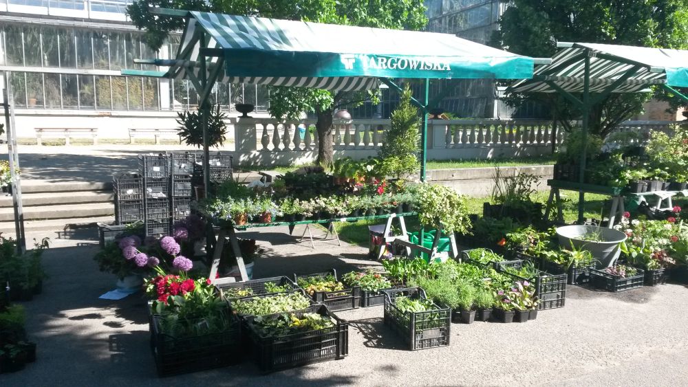 zielony kiermasz - Jacek Butlewski