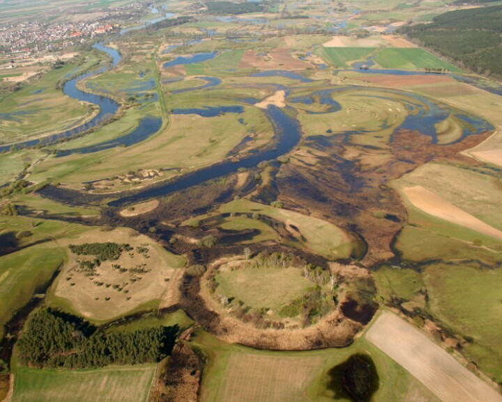 Puszczaj - (pancalisia.wordpress.com)