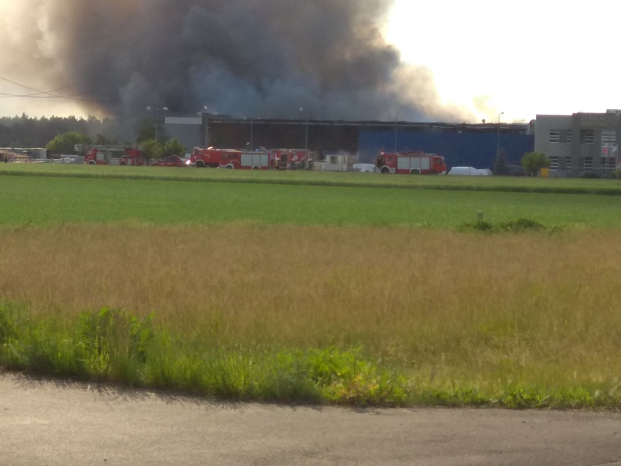 Monika Tuliszkiewicz