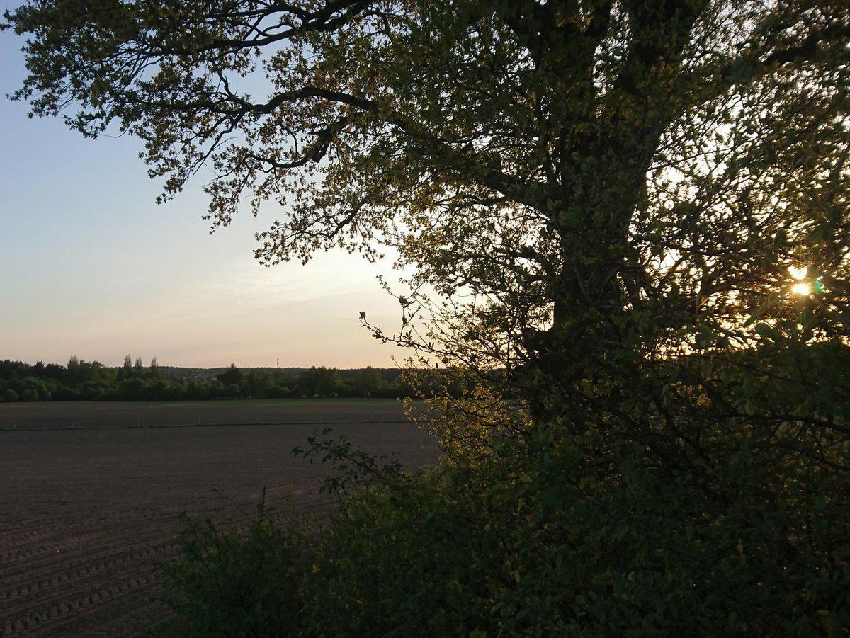 Natura 2000 - Martyna Osiecka