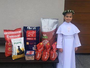 komunia karma - Schronisko w Ostrowie Wielkopolskim