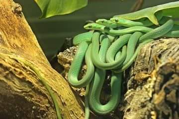 received_1015639721938446 - Fotolia