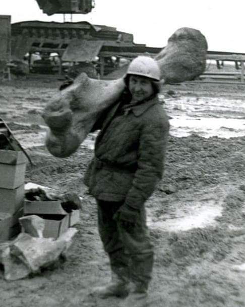 received_1016873888481696