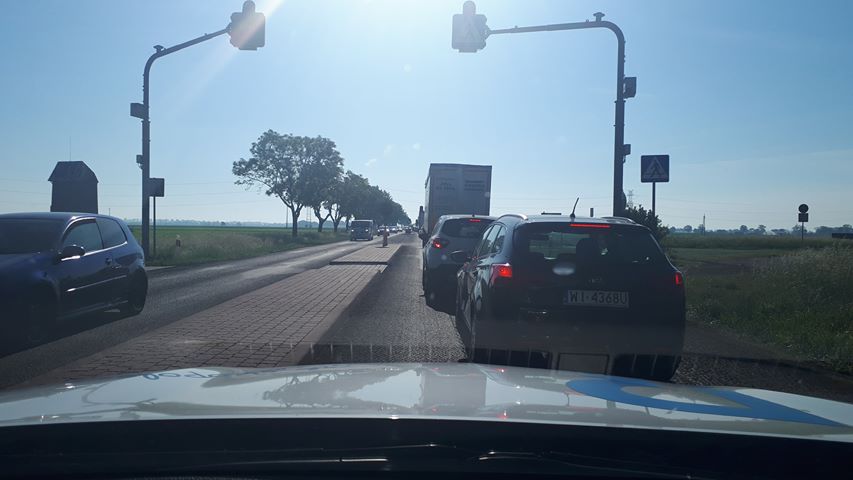 koszuty korki remont korek dk11 - Wojciech Sikorski