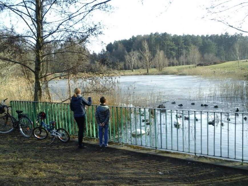 Umultowo petycja - Źródło: www.stawyumultowskie.pl
