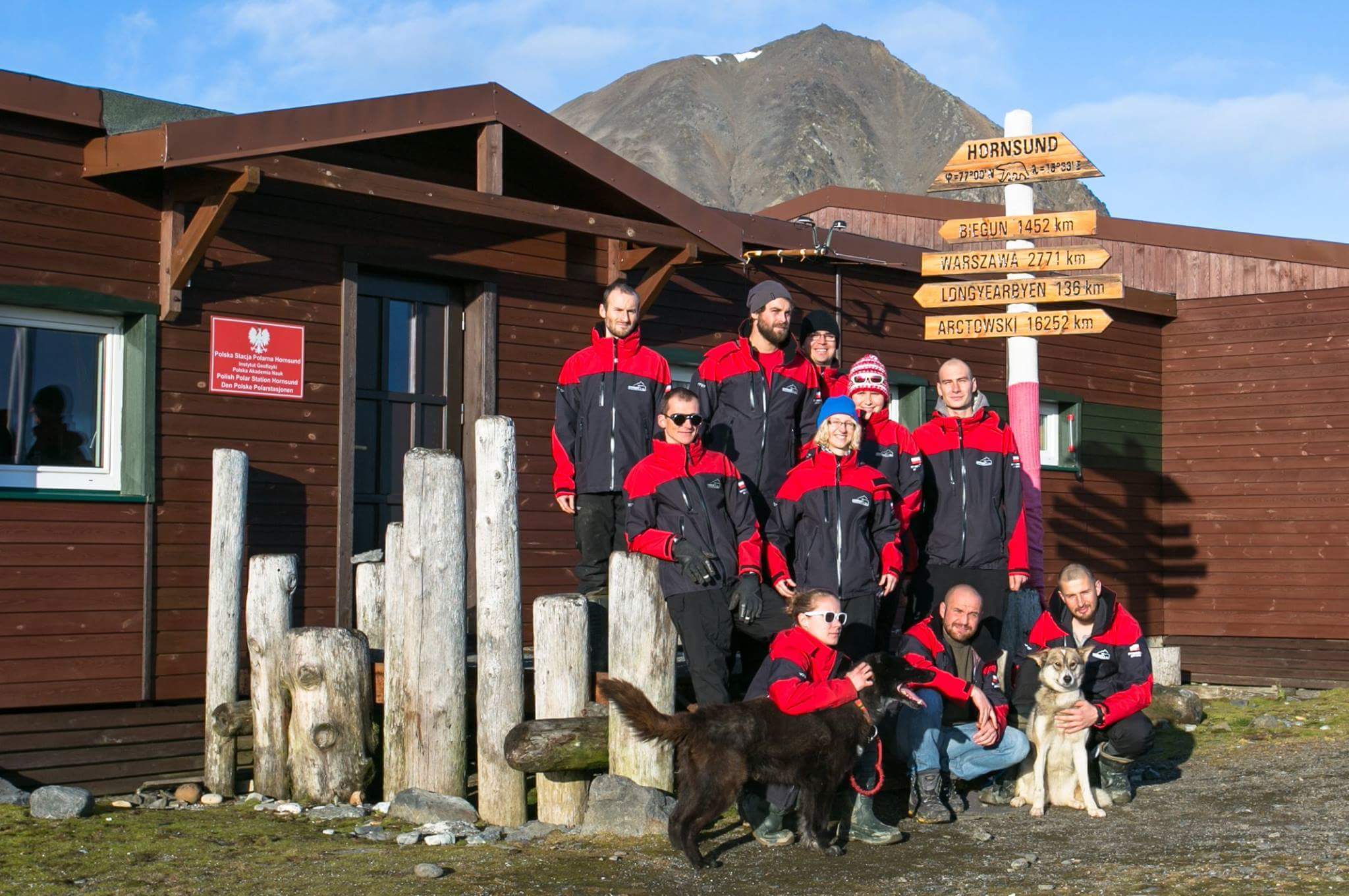 Białe Niedźwiedzie - Joanna Perchaluk