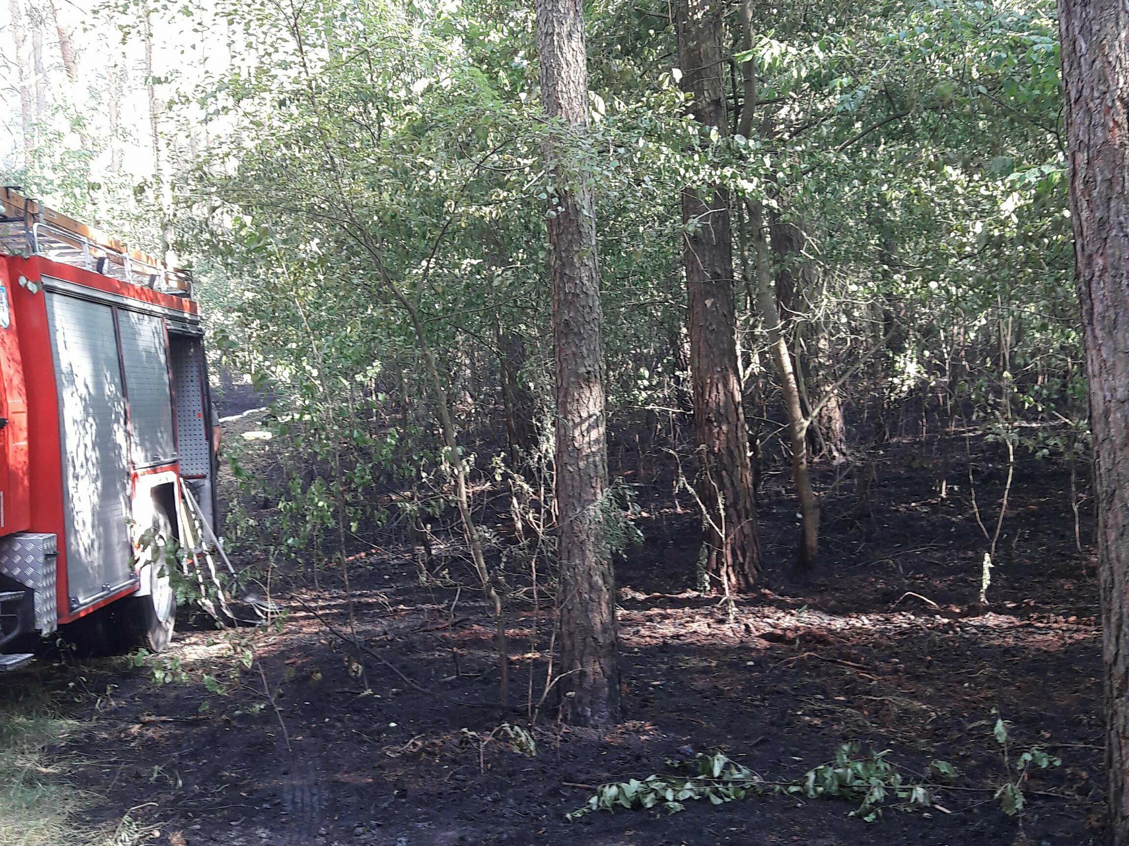 OSP Poznań Głuszyna