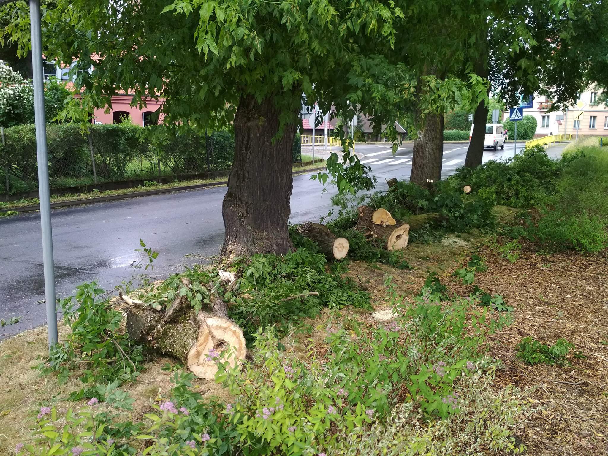 received_1845074412218113 - Kacper Witt