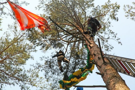 spadochroniarz na drzewie - KP PSP Piła