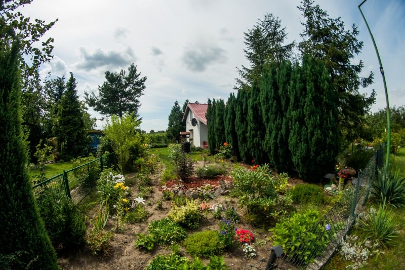 zielony kalisz - Adrian Stawski - www.kalisz.pl