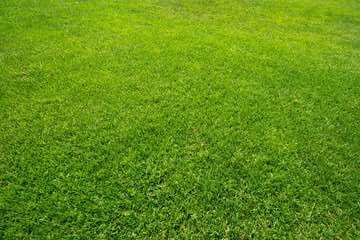 received_1025934537575631 - Fotolia