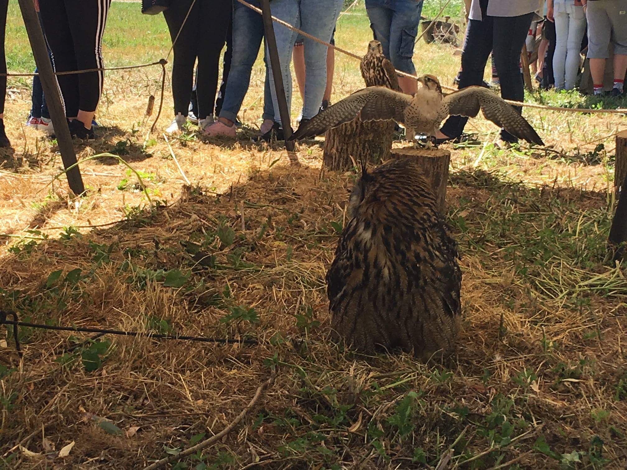 received_1025977574237994 - Rafał Muniak