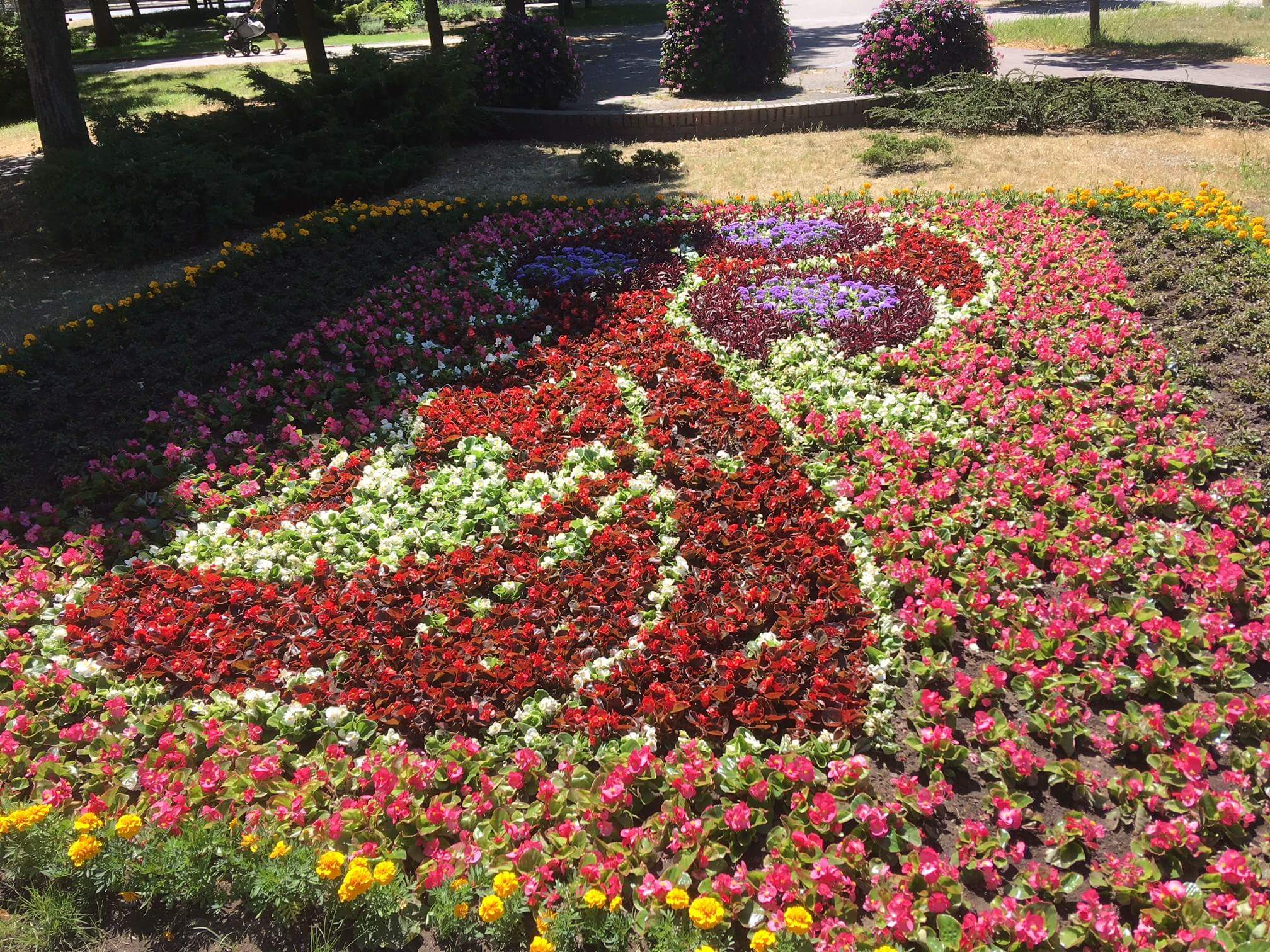 Leszno kwiaty - Jacek Marciniak