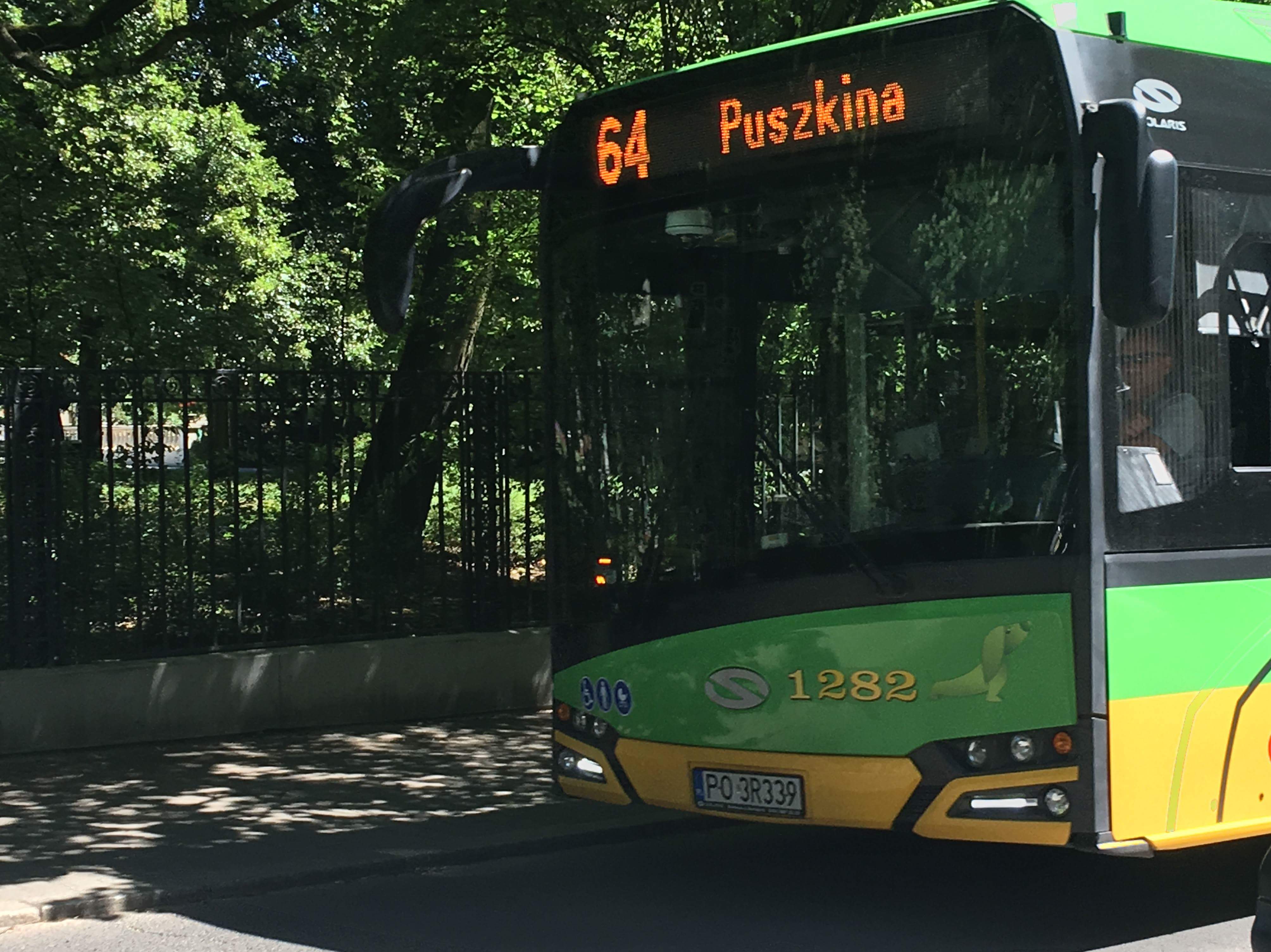 Autobus - Adam Michalkiewicz