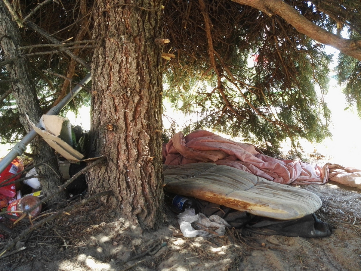 bezdomny Ireneusz Konin - Sławomir Zasadzki