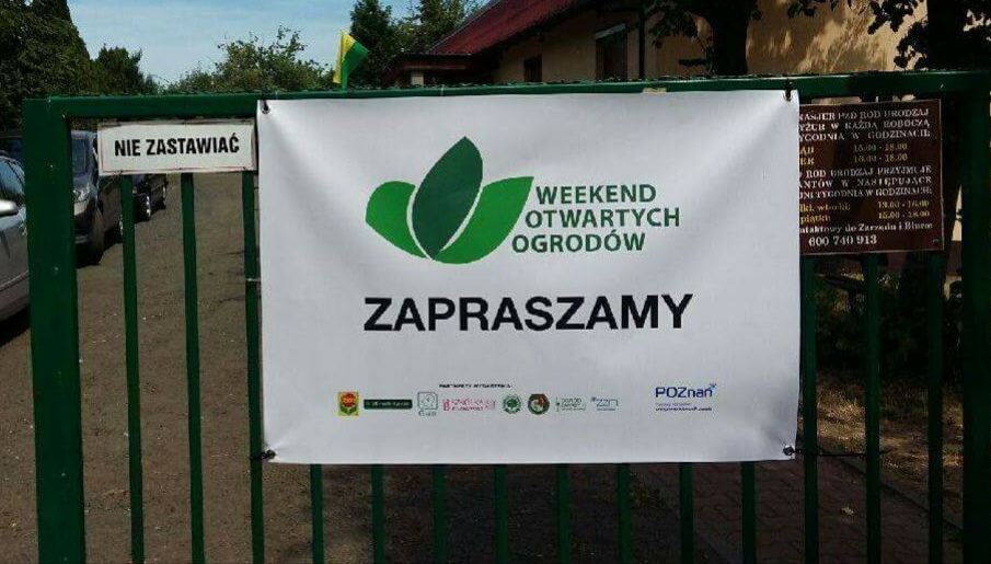 Otwarte ogrody - Magdalena Konieczna