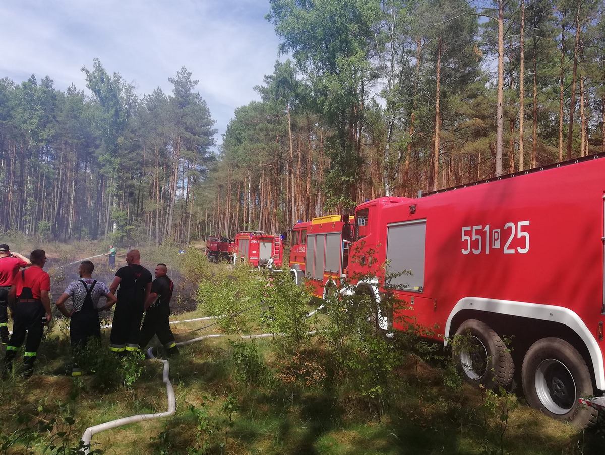 pożar płotki - OSP Wysoka