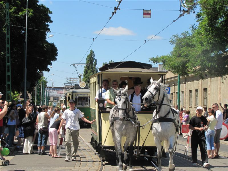 Parada na 130-lecie MPK - Adam Michalkiewicz