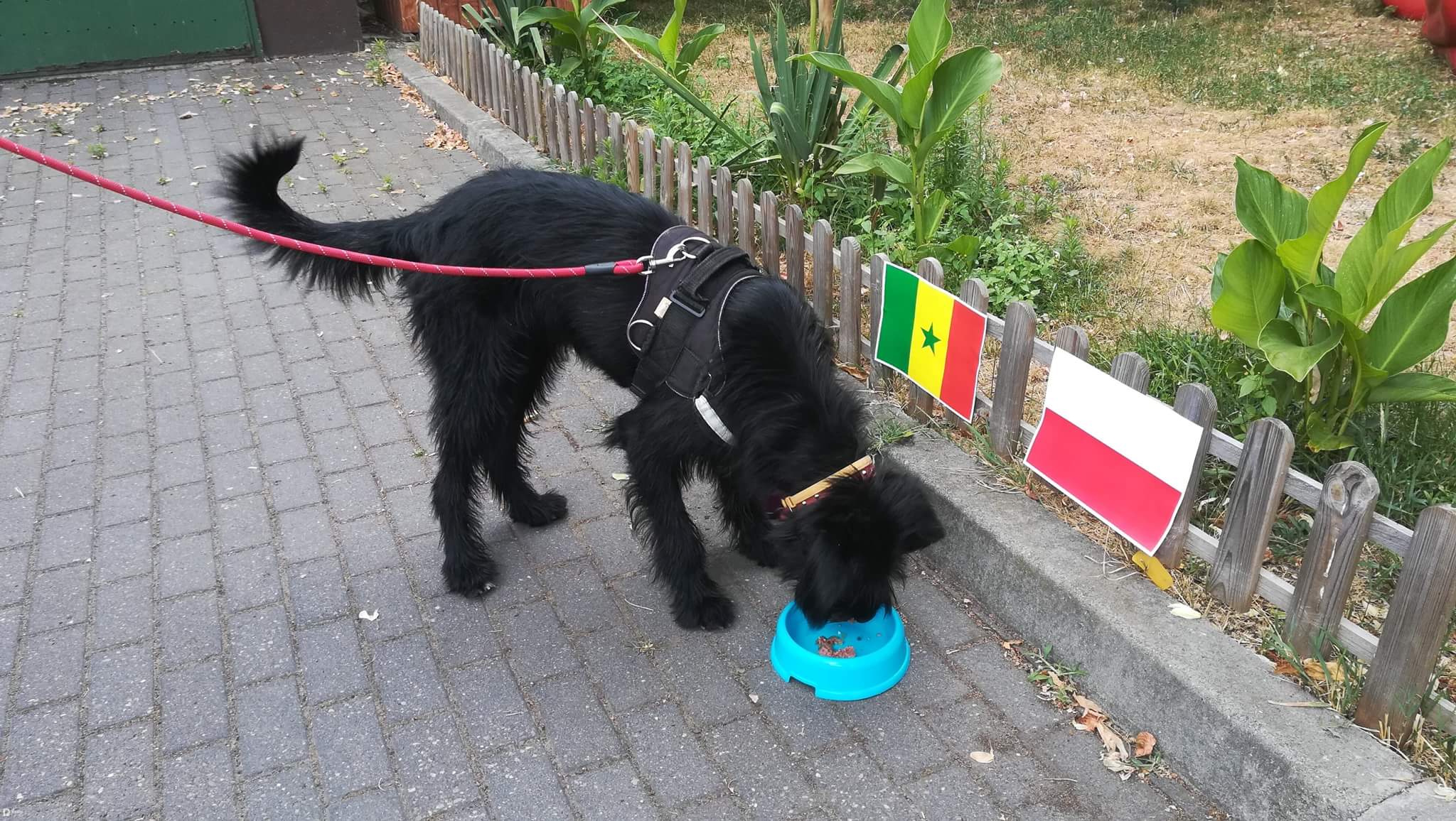 received_1037033209799097 - Tomasz Żmudziński