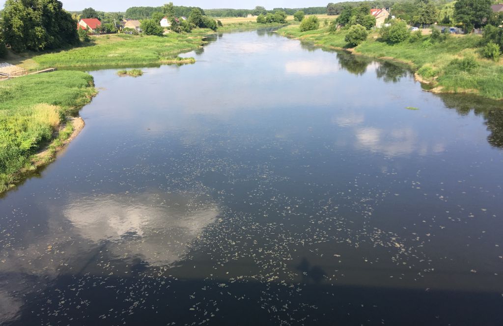 okrzemki warta rzeka - Andrzej Ciborski