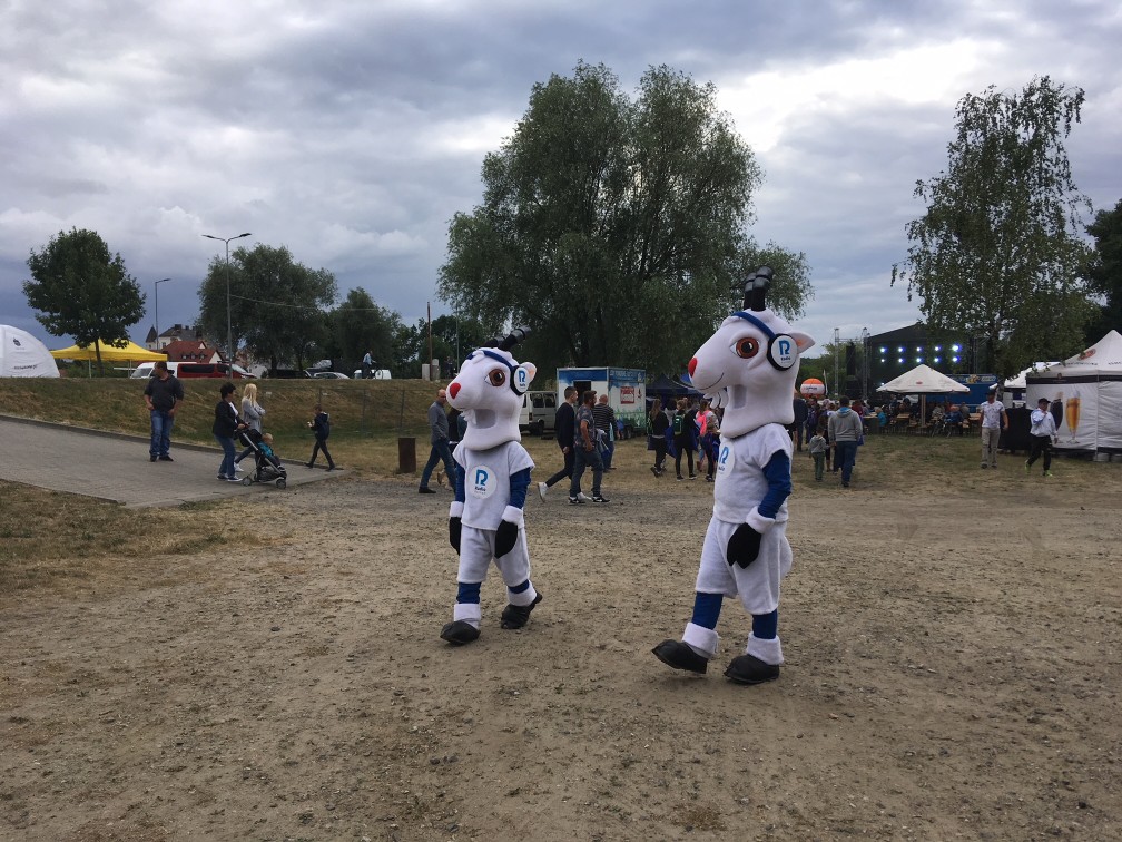 międzychód - Andrzej Ciborski