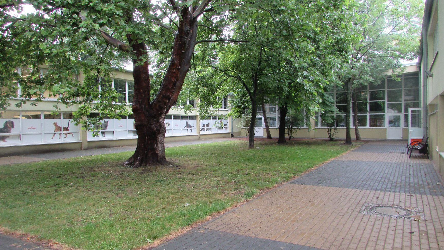 Kalisz schronisko - Schronisko dla zwierząt w Kaliszu