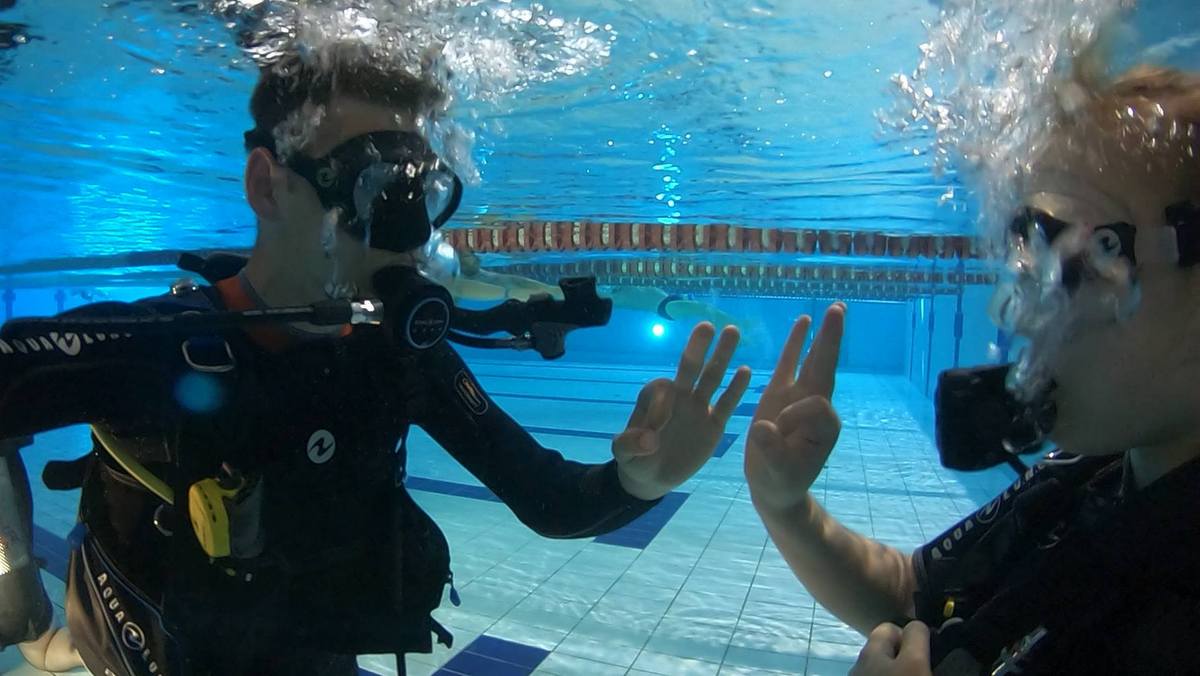 nurkowanie na wózkach inwalidzkich - Krok po kroku HSA Facebook