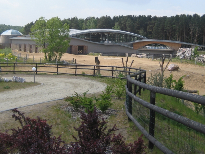 w zoo -  - Adam Michalkiewicz