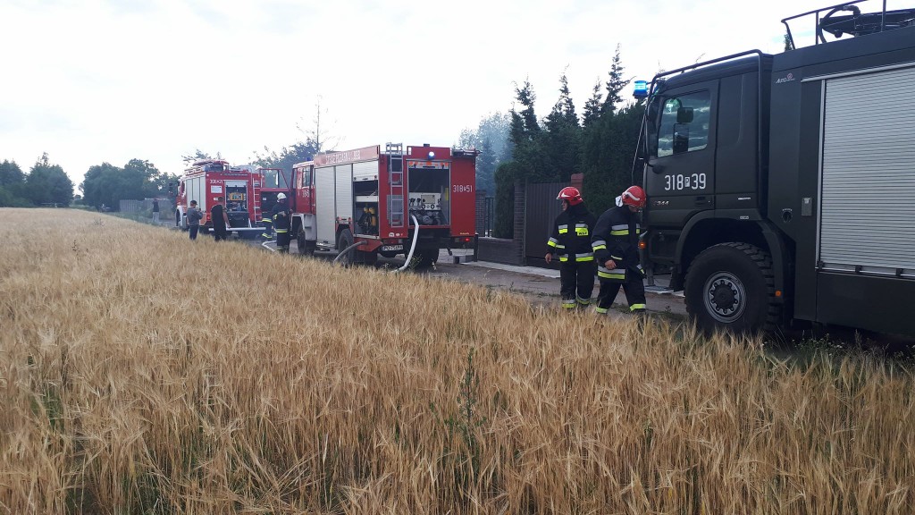 pożar drewutni - Wojciech Sikorski