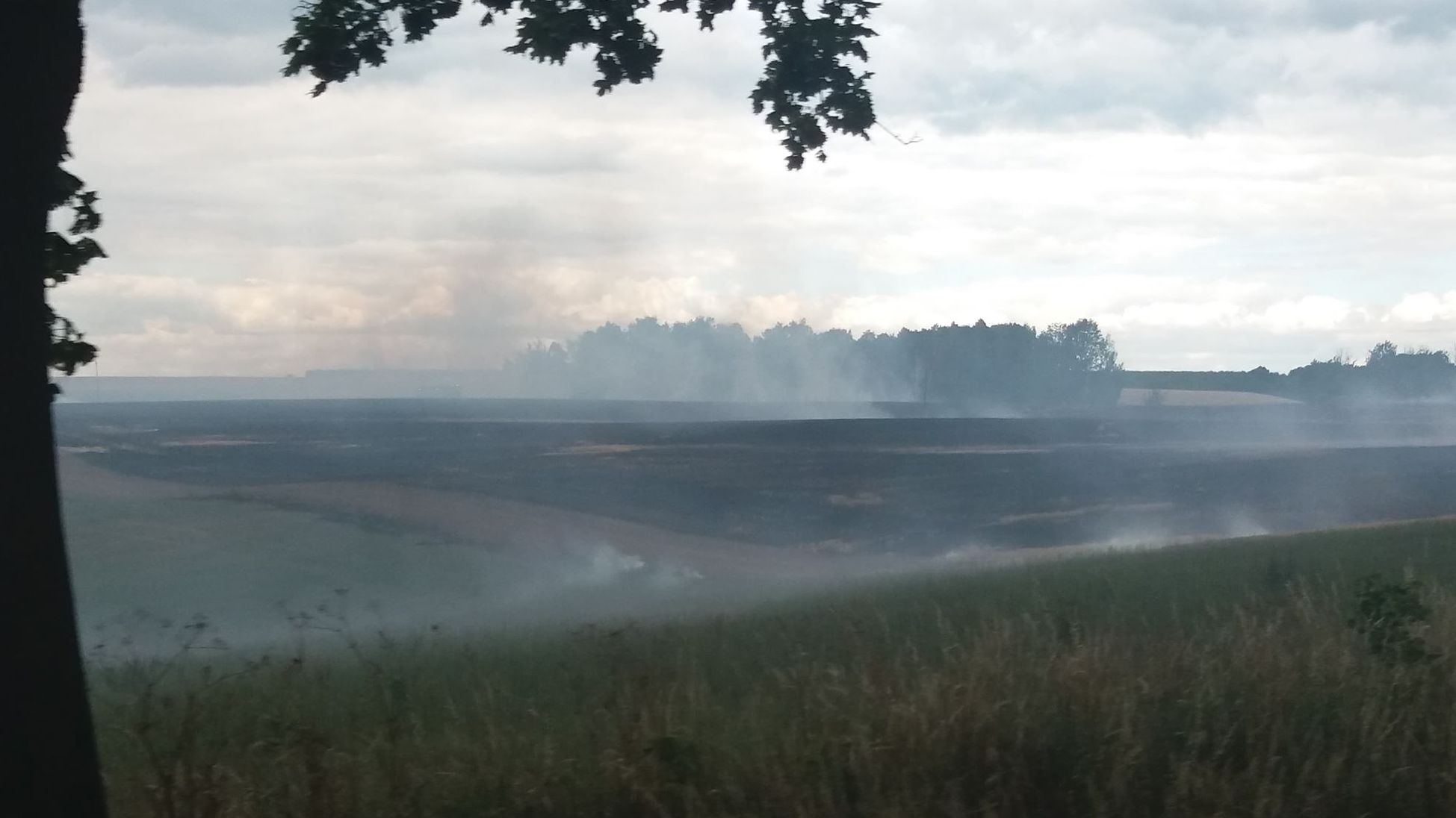 słuchaczka Agnieszka