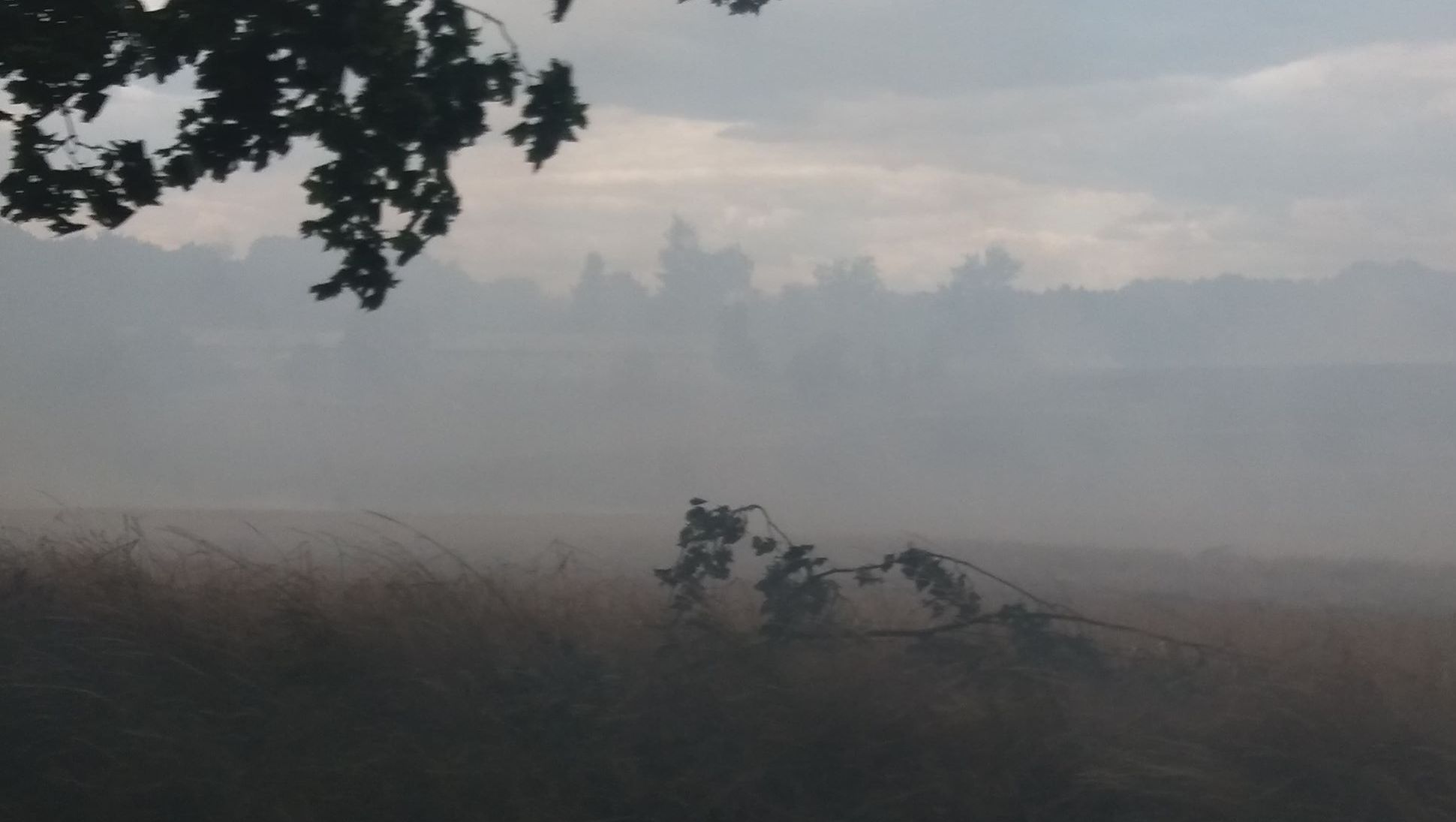 słuchaczka Agnieszka