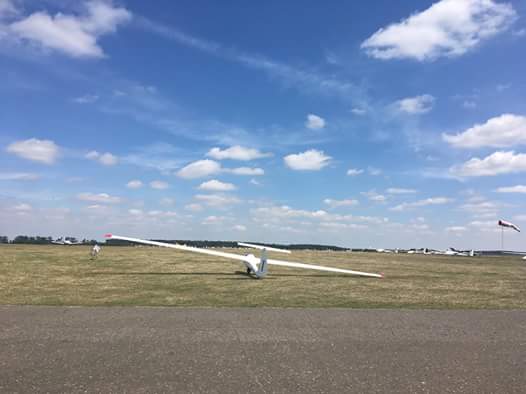 36743282_2324150734478656_8528426416893591552_n - Danuta Synkiewicz