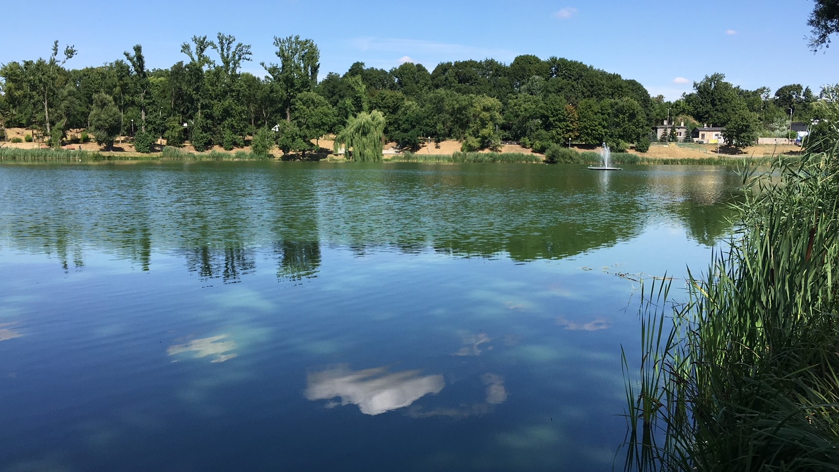 sinice jezioro jelonek gniezno - Rafał Muniak