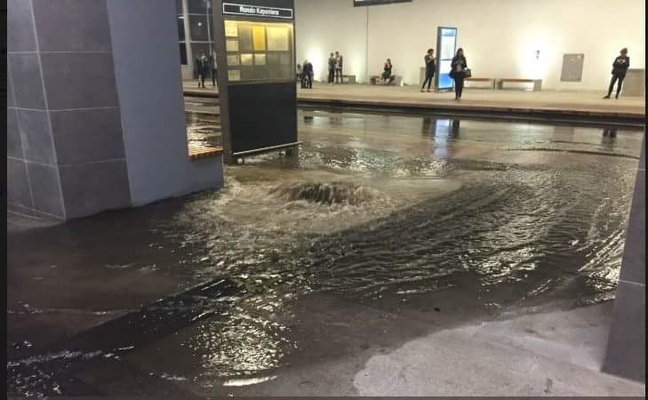 received_1060577780777973 - Alert Poznań, Twitter