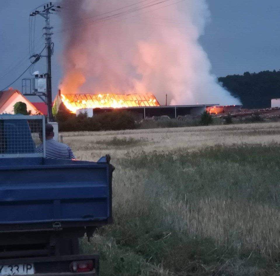 pożar dobrogostowo moje wronki facebook - Moje Wronki Facebook