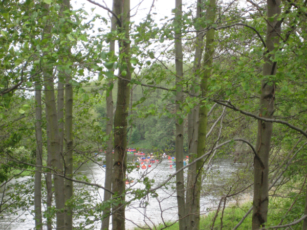 Gwda Piła spływ 2 - Wiesława Pinkowska