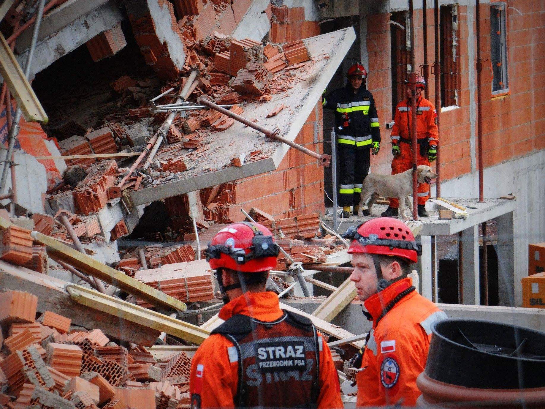 received_1066385146863903 - Bielskie Drogi, Facebook