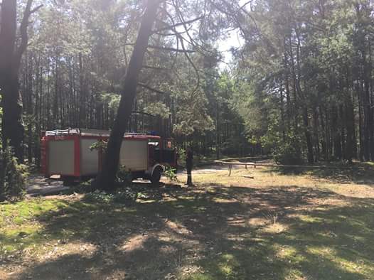 37407511_2338417429718653_376675173094391808_n - Danuta Synkiewicz