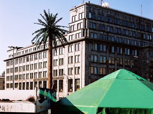 Rajkowska - palma - rajkowska.com