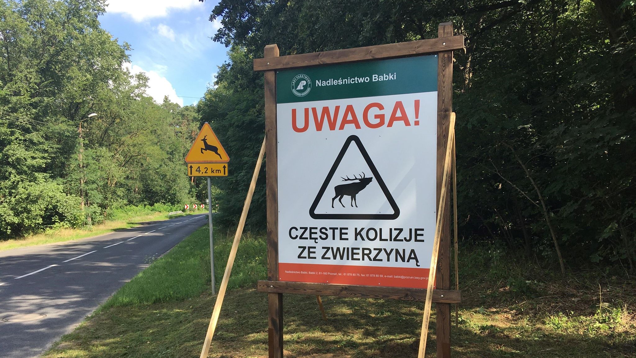 czarne punkty dla zwierząt - Jacek Butlewski