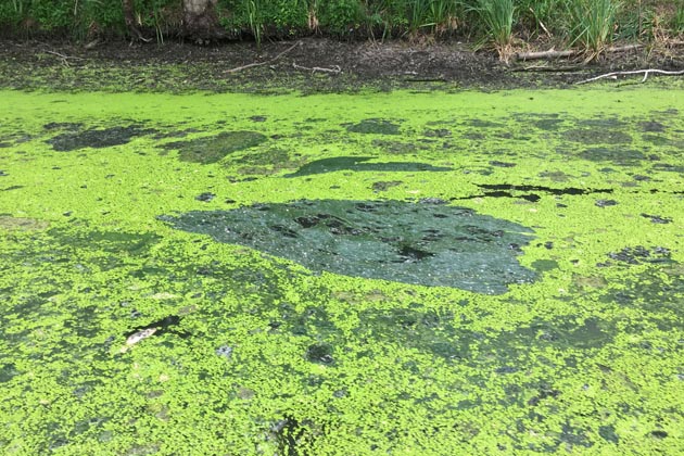 margonin - http://www.portalwrc.pl/