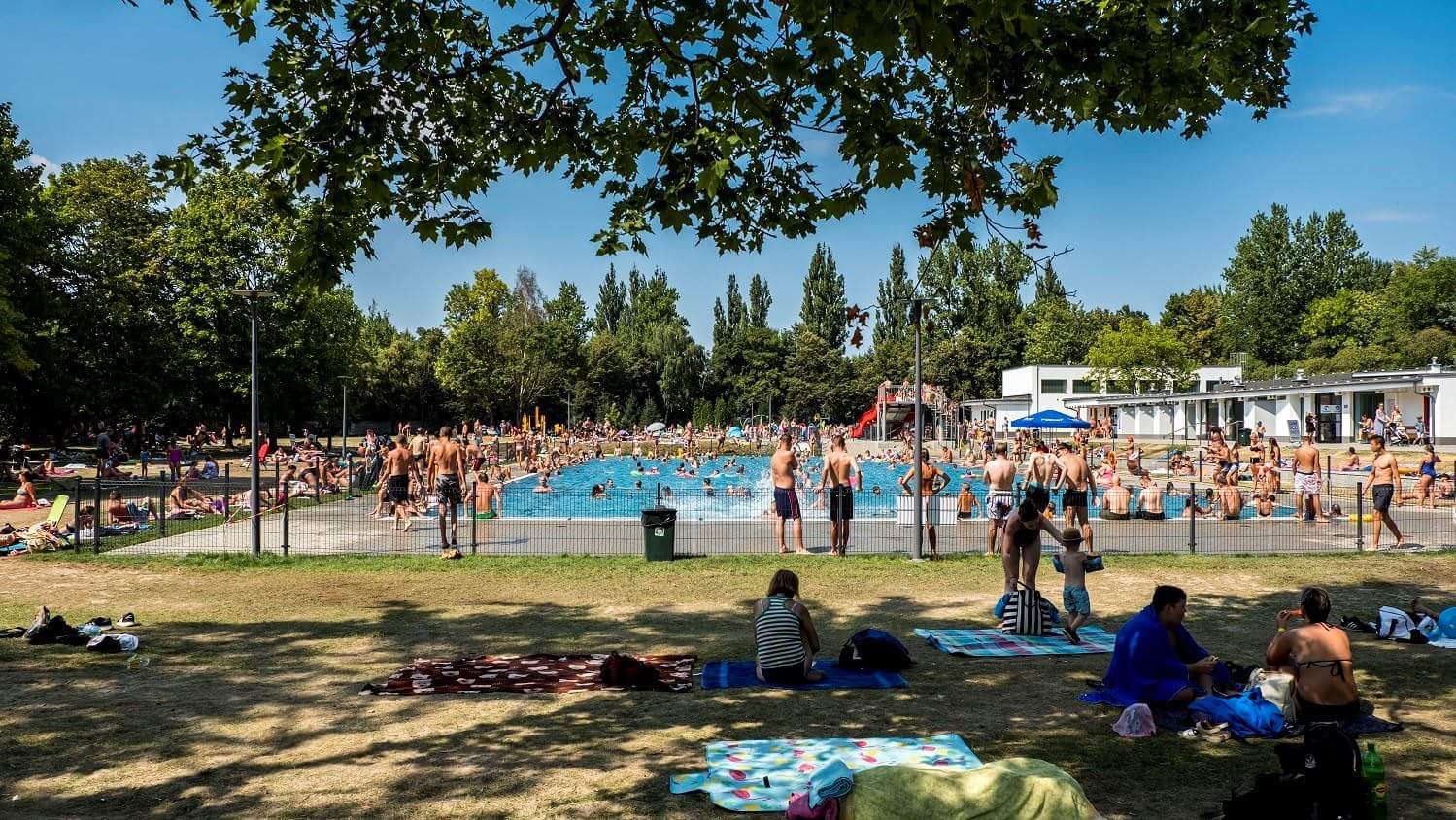 received_2167219050230326 - POSiR 