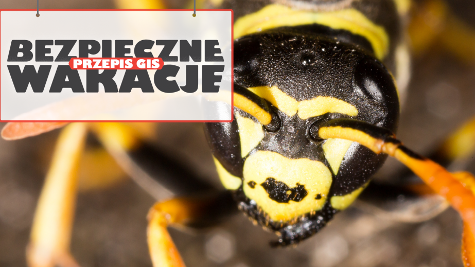 pszczoła gis - gis.gov.pl