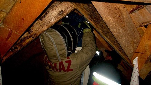 usuwanie gniazda os - OSP Stare Siołkowice