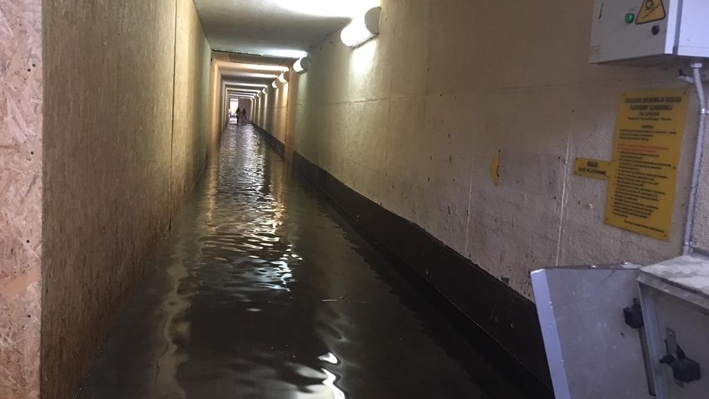 zalane piwnice konin - Sławomir Zasadzki